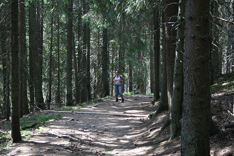slawkowskiszczyt09.2008 013